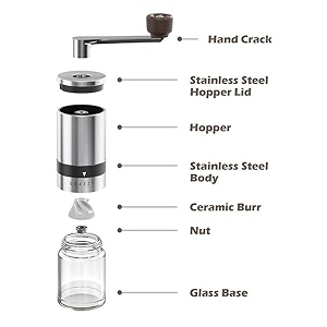 the bean co manual coffee grinder with adjustable settingshigh borosilicate glass and coloured 304 stainless steel body with ceramic burr whole bean coffee grinder green