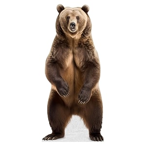 Bear - Life Size Cardboard Cutout Standup