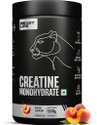 BeastLife Creatine Monohydrate 166 Servings 