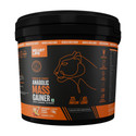 BeastLife High Protein Weight Gainer - No