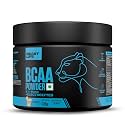 BeastLife High Recovery BCAA – Shikanji Flavour | 2:1:1 Blend | 120g | Fast-Absorbing Aminos for Energy &amp; Muscle Recovery | Premium Sports Nutrition for Men &amp; Women