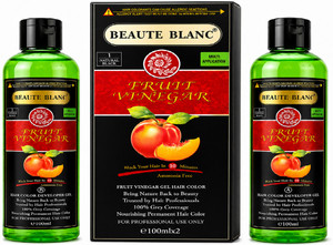 beaut blanc beaute blanc professional fruit vinegar hair gel color 200ml small pack natural black