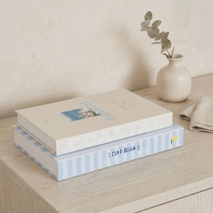 beautiful decorative books - set of 2 coastal boxes for coffee table decor