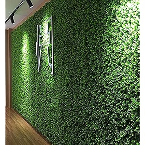 beautifulwalls plastic artificial wall grass for home decoration 12 pcs i grass mat for wall i vertical garden artificial wall plants dark green 60cm x 40cm x 3cm pack of 12