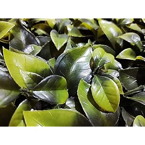 artificial wall grass for home decoration 2 pcs grass mat for wall vertical garden artificial plastic plants big leaves green 60cm x 40cm x 8cm pack of 2