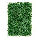 BeautifulWalls Artificial Wall Grass (7 Pcs) for Home Decoration, Grass Mat for Wall, Vertical Garden Artificial Plants (Lemon Green Design, 60cm X 40cm X 8cm, Plastic, Pack of 7)