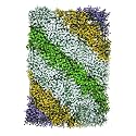 Artificial Wall Grass for Home Decoration (2 Pcs); Grass Mat for Wall; Vertical Garden Artificial Plastic Plants (Forest Series; 60cm X 40cm x 8cm; Pack of 2)