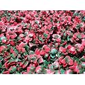 Artificial Wall Grass (7 Pcs) for Home Decoration, Grass Mat for Wall, Vertical Garden Artificial Plants (Mix Design Design, 60cm X 40cm X 8cm, Plastic, Pack of 7)