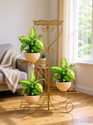 Bee Creative 4 tiers on different levels Plant Stands for Indoors and Outdoors Plant Container Set