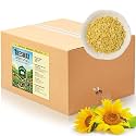 Beeswax Pellets for Candle Making – 10lb/20lb – Natural Beeswax for Candles, Lip Balms, and Skincare – Yellow Beeswax for DIY Projects – Ideal for Beginners and Experts（10lb）