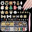 Beetles 3D Nail Art Charms with Tweezers for Christmas Winter