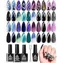 Beetles Cat Eye Gel Nail Polish Set, 20 Colors Halloween Purple Gel Polish