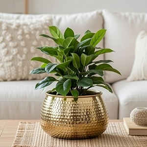 behoma metal hammered golden bowl planter