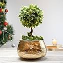 BEHOMA Metal Hammered Golden Bowl Planter