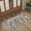 BEIMO 2X3 Area Rugs for Entrance, Washable Modern Abstract Non Slip Doormat