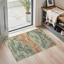 BEIMO 2x3 Area Rugs for Entryway, Dusty Sage Washable Abstract Rug