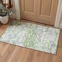 BEIMO 2x3 Area Rugs for Entryway, Light Green Washable Abstract Rug
