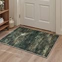 BEIMO 2x3 Area Rugs for Entryway, Smoky Green Washable Abstract Rug