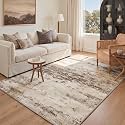 BEIMO 5x7 Antique Beige Abstract Area Rug, Washable Non-Slip for Bedroom