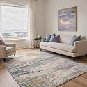 BEIMO 5X7 Area Rug for Living Room, Modern Abstract Washable Soft Non Slip