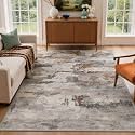 BEIMO 6X9 Area Rug for Living Room, Modern Abstract Soft Washable Non Slip