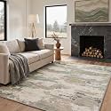 BEIMO 8X10 Area Rug for Living Room, Modern Abstract Soft Washable Non Slip