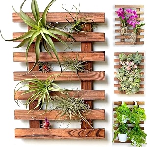 wooden air plant hanging stand trellis for climbing plants large wall planters for indoor wall decor living room home plant shelves garden unique farmhouse set of 1 45 cm
