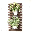 Wooden Trellis for Climbing Plants Large Hanging Wall Planters for Indoor Wall Decor Decorations Living Room Home Plant Shelves Vertical Garden Huge Unique Farmhouse (Set of 2 (60 cm))