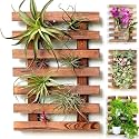 Wooden Air Plant Hanging Stand Trellis for Climbing Plants Large Wall Planters for Indoor Wall Decor Living Room Home Plant Shelves Garden Unique Farmhouse (Set of 1 (45 cm))