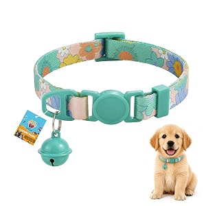 bell pet collar for puppy kitten amp small dogs  adjustable 2025 cm collar with bell  mint  pack of 1