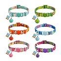 Bell Pet Collar for Puppy, Kitten &amp; Small Dogs – Adjustable 20–25 cm Collar with Bell – May Vary – Pack of 1