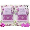 Belle Aroma No-Mess Fragrance Tarts for Wax Warmers – Solid Fragrance Alternative to Wax Melts (Designed Not to Melt), Heat-Activated Home Scent, Long-Lasting Aroma Pieces, 12 Mini 2 Pack Thai Orchid