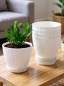 BELLERBIRD Premium Quality Ribbed Designe 6 Inch Flower Pot For Home Decoration Plant Container Set
