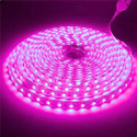 BellGrey 1200 LEDs 5 m Pink Steady Strip Rice Lights (Pack of 1)