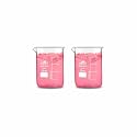 Bello Borosilicate 3.3 Glass Beaker 25 ml with Graduation Marks, Pack of 2 Beakers for school collage chemistry lab laboratory