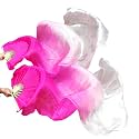Belly Dance Faux Silk Veil Fans, 1 Pair (Left+Right) Faux Silk Bamboo Long Fans Veils, Handmade Belly Dance Dancing Silk Fans, Dance Performance
