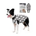 BellyGuard Dog Surgery Recovery Suit, Male Female After Spay Neuter Onesie