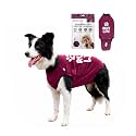 BellyGuard Dog Surgery Recovery Suit, Male Female After Spay Neuter Onesie