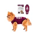 BellyGuard Dog Surgery Recovery Suit, Male Female After Spay Neuter Onesie