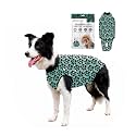 BellyGuard Dog Surgery Recovery Suit, Male Female After Spay Neuter Onesie