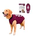 BellyGuard Dog Surgery Recovery Suit, Male Female After Spay Neuter Onesie