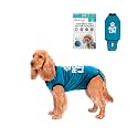 BellyGuard Dog Surgery Recovery Suit, Male Female After Spay Neuter Onesie