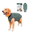 BellyGuard Dog Surgery Recovery Suit, Male Female After Spay Neuter Onesie