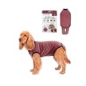 BellyGuard Dog Surgery Recovery Suit, Male Female After Spay Neuter Onesie