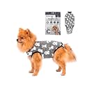 BellyGuard Dog Surgery Recovery Suit, Male Female After Spay Neuter Onesie
