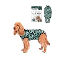 BellyGuard Dog Surgery Recovery Suit, Male Female After Spay Neuter Onesie