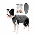 BellyGuard Dog Surgery Recovery Suit, Male Female After Spay Neuter Onesie