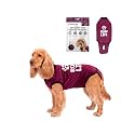 BellyGuard Dog Surgery Recovery Suit, Male Female After Spay Neuter Onesie