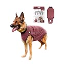 BellyGuard Dog Surgery Recovery Suit, Male Female After Spay Neuter Onesie