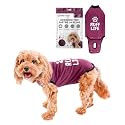 BellyGuard Dog Surgery Recovery Suit, Post-Op Dog Recovery Suit for Female Spay &amp; Male Neuter, Comfy Onesie for Pets, Surgical Body Cover for Canine Healing Support